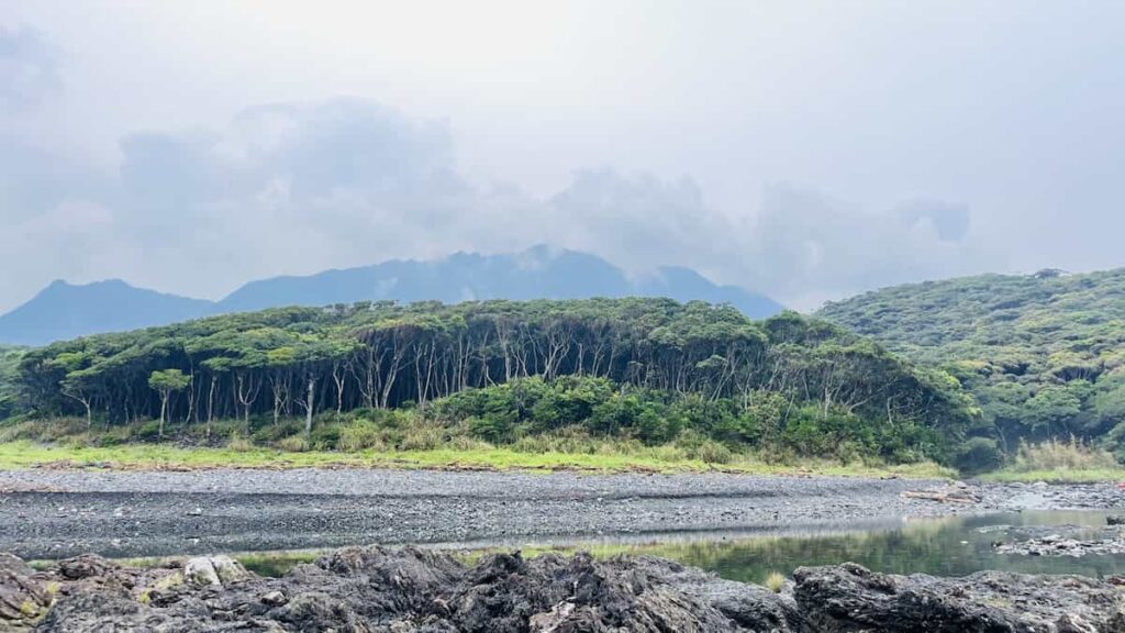 屋久島